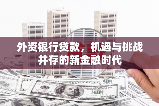长岭外资银行贷款，机遇与挑战并存的新金融时代