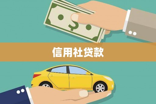 长岭信用社贷款