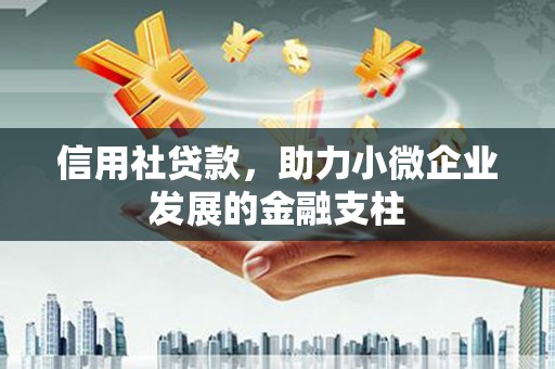 长岭信用社贷款，助力小微企业发展的金融支柱