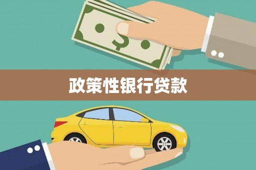 长岭政策性银行贷款