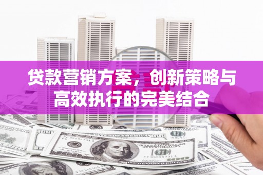 长岭贷款营销方案，创新策略与高效执行的完美结合