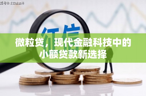 长岭微粒贷，现代金融科技中的小额贷款新选择