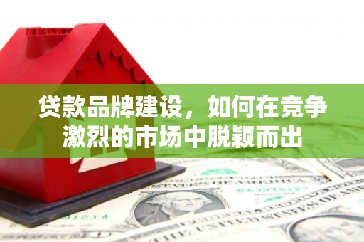 长岭贷款品牌建设，如何在竞争激烈的市场中脱颖而出