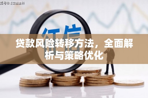 长岭贷款风险转移方法，全面解析与策略优化