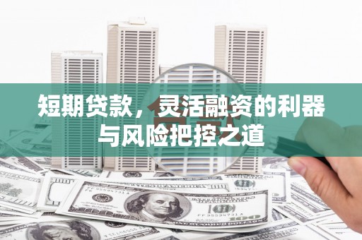 长岭短期贷款，灵活融资的利器与风险把控之道