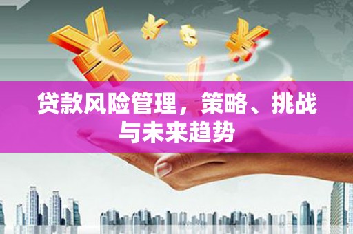 长岭贷款风险管理，策略、挑战与未来趋势