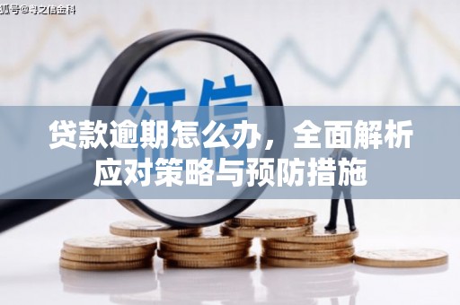 长岭贷款逾期怎么办，全面解析应对策略与预防措施