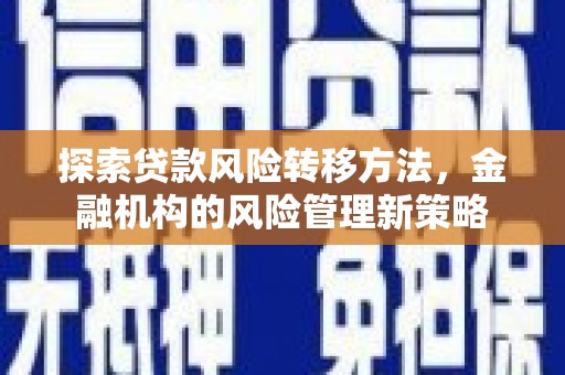 长岭探索贷款风险转移方法，金融机构的风险管理新策略