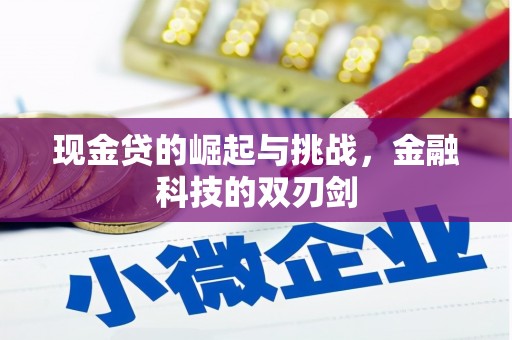 长岭现金贷的崛起与挑战，金融科技的双刃剑
