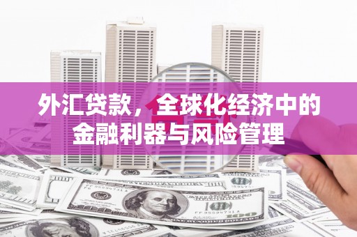 长岭外汇贷款，全球化经济中的金融利器与风险管理