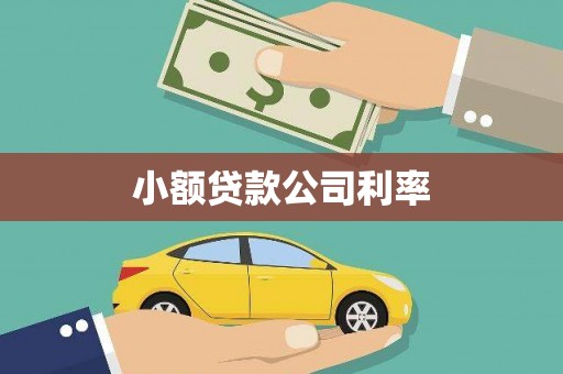 长岭小额贷款公司利率