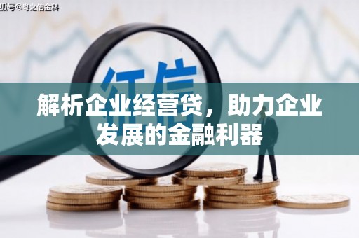 长岭解析企业经营贷，助力企业发展的金融利器