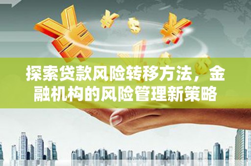 长岭探索贷款风险转移方法，金融机构的风险管理新策略