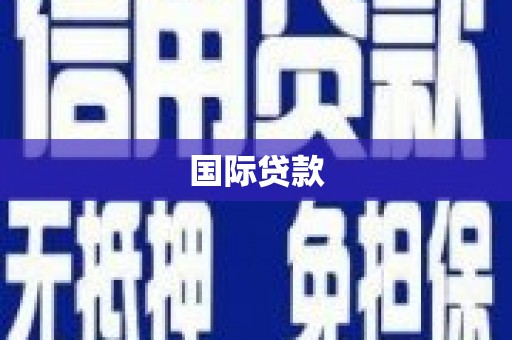长岭国际贷款