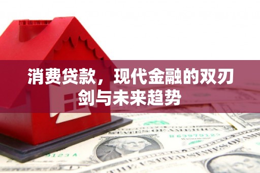 长岭消费贷款，现代金融的双刃剑与未来趋势