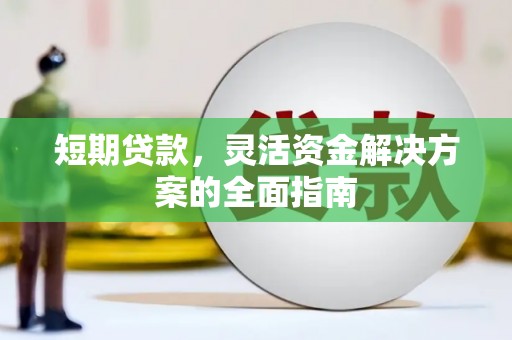 长岭短期贷款，灵活资金解决方案的全面指南