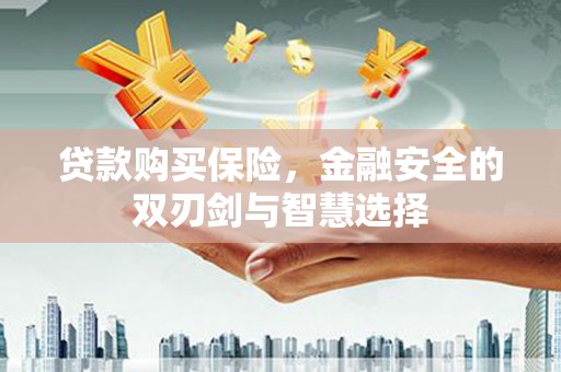 长岭贷款购买保险，金融安全的双刃剑与智慧选择