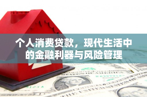 长岭个人消费贷款，现代生活中的金融利器与风险管理
