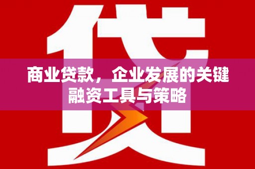 长岭商业贷款，企业发展的关键融资工具与策略