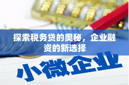 长岭探索税务贷的奥秘，企业融资的新选择