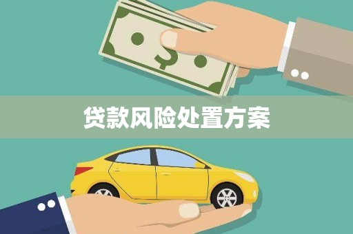 长岭贷款风险处置方案
