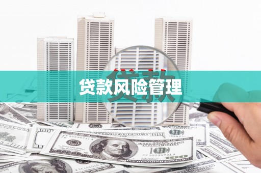 长岭贷款风险管理