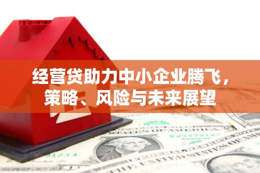 长岭经营贷助力中小企业腾飞，策略、风险与未来展望