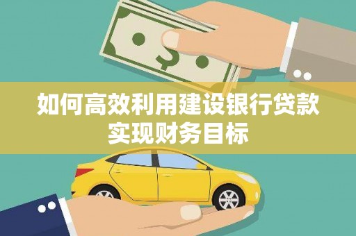 长岭如何高效利用建设银行贷款实现财务目标