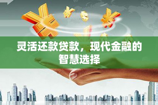 长岭灵活还款贷款，现代金融的智慧选择