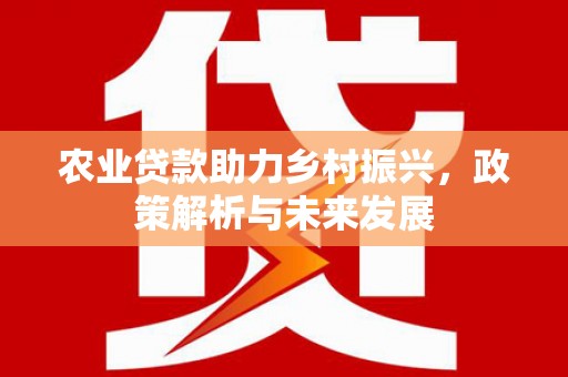长岭农业贷款助力乡村振兴，政策解析与未来发展