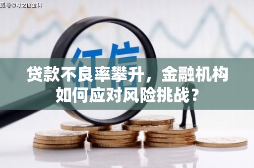 长岭贷款不良率攀升，金融机构如何应对风险挑战？