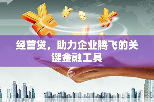 长岭经营贷，助力企业腾飞的关键金融工具
