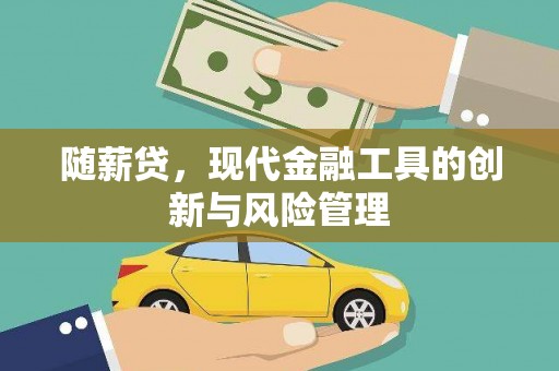 长岭随薪贷，现代金融工具的创新与风险管理