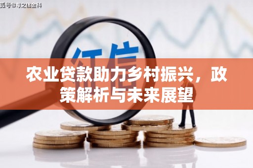 长岭农业贷款助力乡村振兴，政策解析与未来展望
