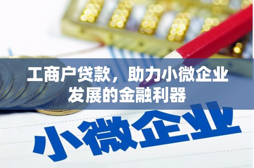 长岭工商户贷款，助力小微企业发展的金融利器