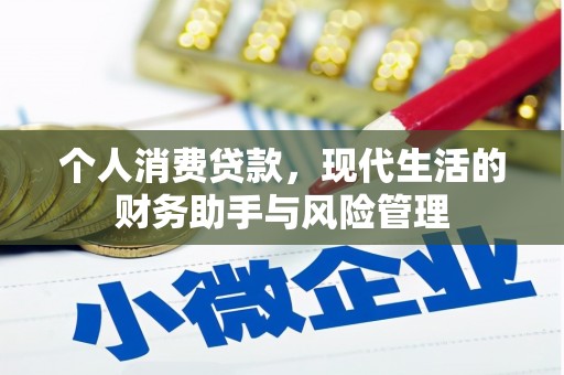 长岭个人消费贷款，现代生活的财务助手与风险管理