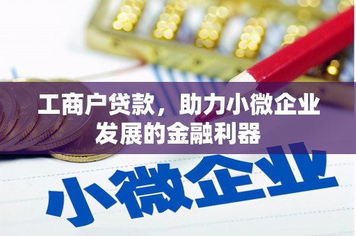 长岭工商户贷款，助力小微企业发展的金融利器