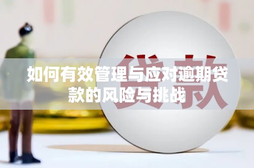 长岭如何有效管理与应对逾期贷款的风险与挑战