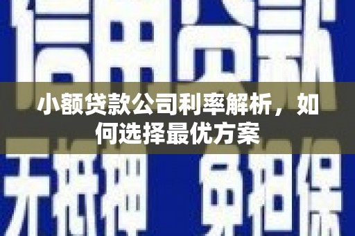 长岭小额贷款公司利率解析，如何选择最优方案
