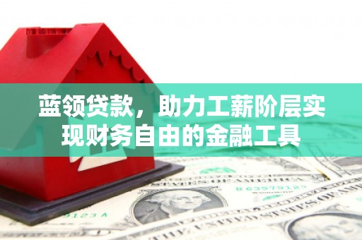 长岭蓝领贷款，助力工薪阶层实现财务自由的金融工具