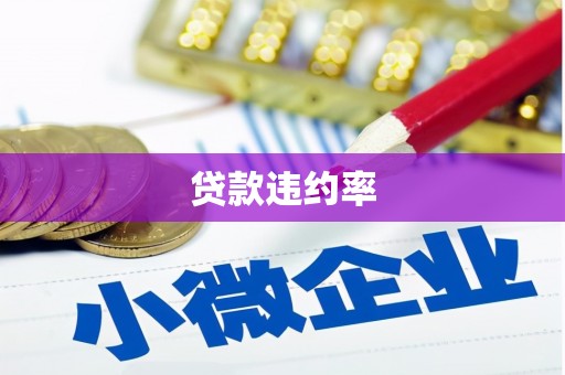 长岭贷款违约率