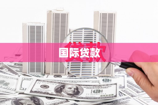 长岭国际贷款
