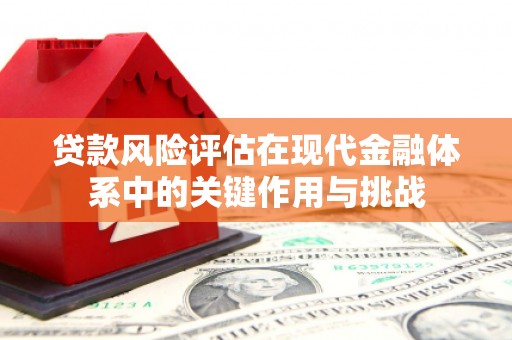 长岭贷款风险评估在现代金融体系中的关键作用与挑战