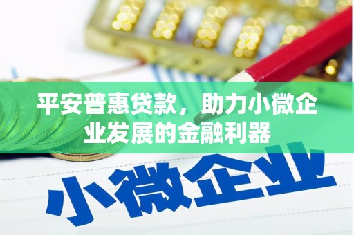 长岭平安普惠贷款，助力小微企业发展的金融利器
