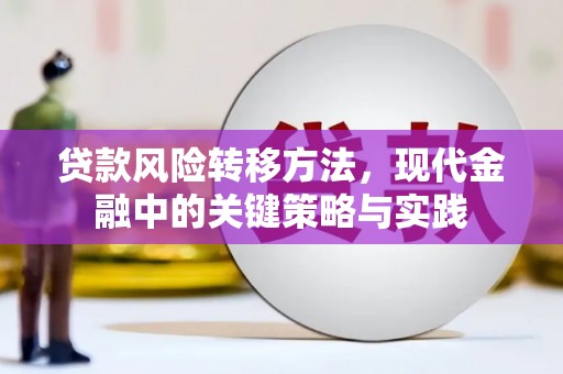 长岭贷款风险转移方法，现代金融中的关键策略与实践
