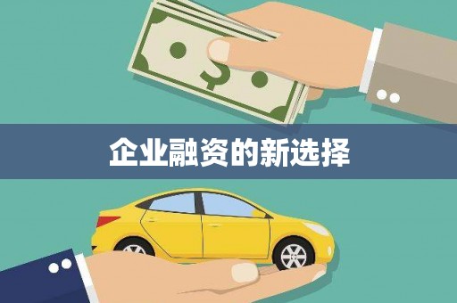长岭企业融资的新选择