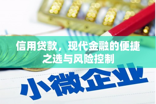 长岭信用贷款，现代金融的便捷之选与风险控制