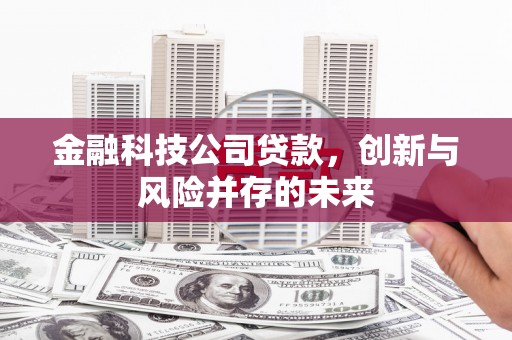 长岭金融科技公司贷款，创新与风险并存的未来