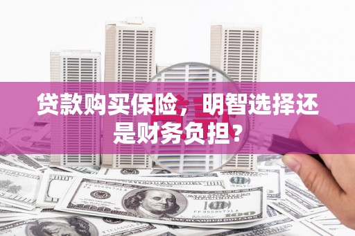 长岭贷款购买保险，明智选择还是财务负担？