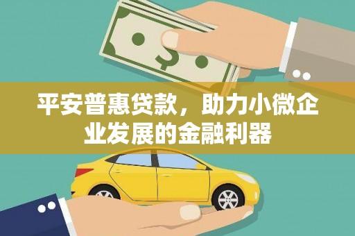 长岭平安普惠贷款，助力小微企业发展的金融利器